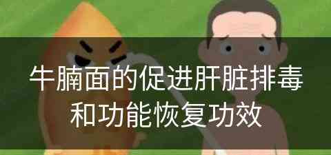 牛腩面的促进肝脏排毒和功能恢复功效